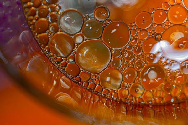 Fotoclub Objectief Zeeland